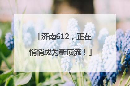 济南612，正在悄悄成为新顶流！