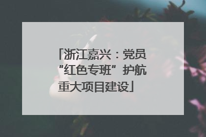 浙江嘉兴：党员“红色专班”护航重大项目建设