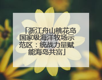 浙江舟山桃花岛国家级海洋牧场示范区：统战力量赋能海岛共富