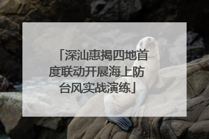 深汕惠揭四地首度联动开展海上防台风实战演练