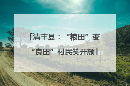 清丰县：“粮田”变“良田”村民笑开颜
