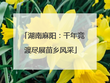 湖南麻阳：千年竞渡尽展苗乡风采
