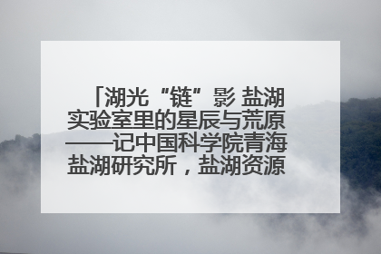 湖光“链”影 盐湖实验室里的星辰与荒原——记中国科学院青海盐湖研究所，盐湖资源化学实验室党总支书记、副主任刘忠
