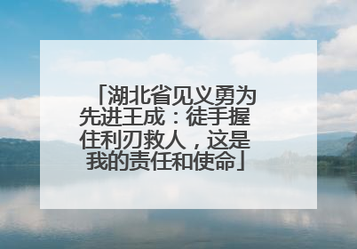 湖北省见义勇为先进王成：徒手握住利刃救人，这是我的责任和使命