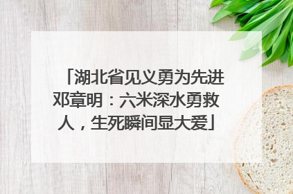 湖北省见义勇为先进邓章明：六米深水勇救人，生死瞬间显大爱