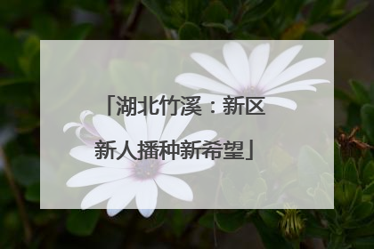 湖北竹溪：新区新人播种新希望