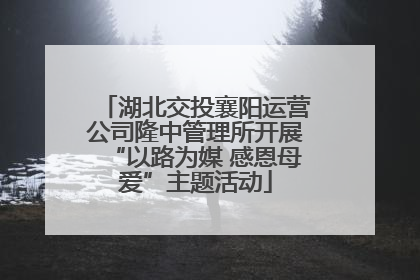湖北交投襄阳运营公司隆中管理所开展“以路为媒 感恩母爱”主题活动