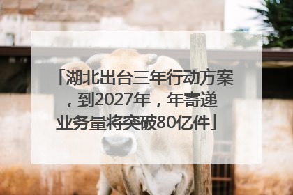 湖北出台三年行动方案，到2027年，年寄递业务量将突破80亿件
