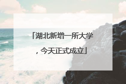 湖北新增一所大学，今天正式成立