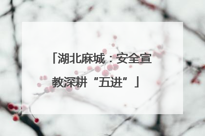 湖北麻城：安全宣教深耕“五进”