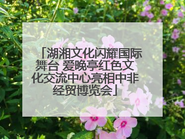 湖湘文化闪耀国际舞台 爱晚亭红色文化交流中心亮相中非经贸博览会
