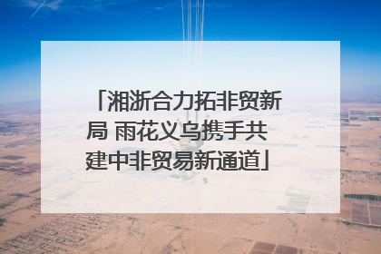 湘浙合力拓非贸新局 雨花义乌携手共建中非贸易新通道