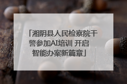 湘阴县人民检察院干警参加AI培训 开启智能办案新篇章