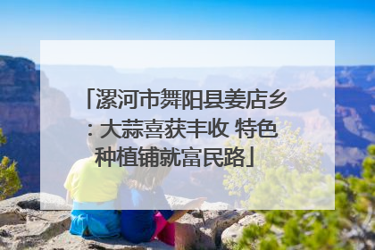 漯河市舞阳县姜店乡：大蒜喜获丰收 特色种植铺就富民路