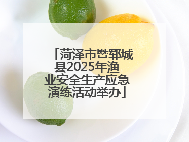 菏泽市暨郓城县2025年渔业安全生产应急演练活动举办