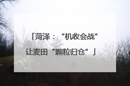 菏泽：“机收会战”让麦田“颗粒归仓”