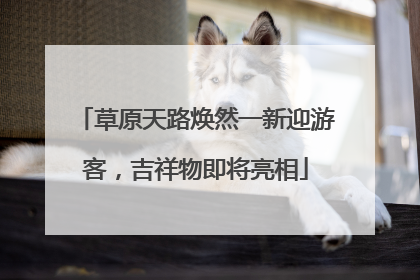 草原天路焕然一新迎游客，吉祥物即将亮相