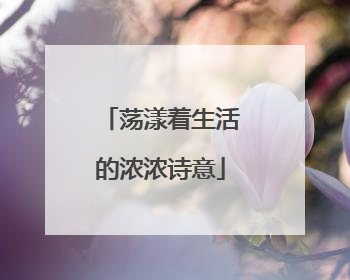 荡漾着生活的浓浓诗意