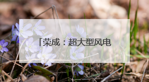 荣成：超大型风电叶片生产运输忙