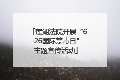 莲湖法院开展“6·26国际禁毒日”主题宣传活动