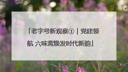 老字号新观察①｜党建领航 六味斋焕发时代新韵