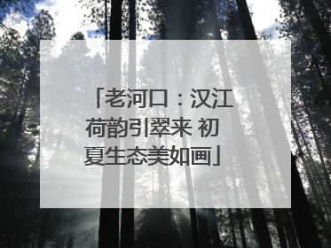 老河口：汉江荷韵引翠来 初夏生态美如画