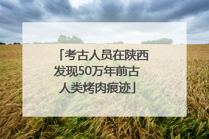 考古人员在陕西发现50万年前古人类烤肉痕迹