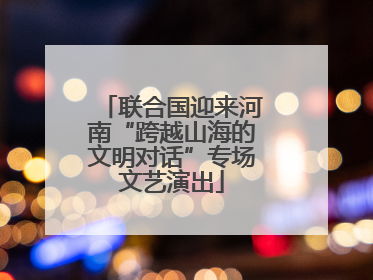 联合国迎来河南“跨越山海的文明对话”专场文艺演出