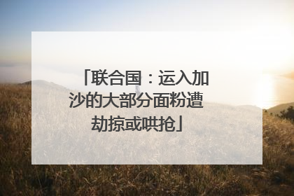 联合国：运入加沙的大部分面粉遭劫掠或哄抢