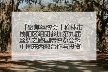 聚焦丝博会丨榆林市榆阳区组团参加第九届丝绸之路国际博览会暨中国东西部合作与投资贸易洽谈会