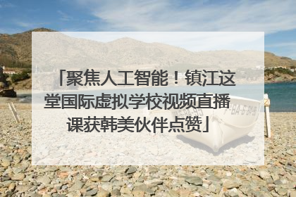 聚焦人工智能！镇江这堂国际虚拟学校视频直播课获韩美伙伴点赞