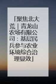 聚焦北大荒｜青龙山农场有限公司：基层民兵参与农业环境综合治理显效