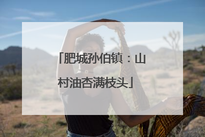 肥城孙伯镇：山村油杏满枝头