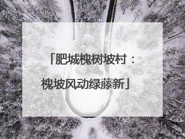 肥城槐树坡村：槐坡风动绿藤新