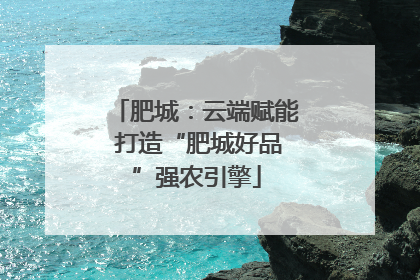 肥城：云端赋能 打造“肥城好品”强农引擎
