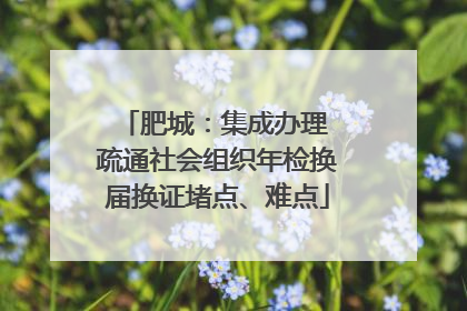 肥城：集成办理 疏通社会组织年检换届换证堵点、难点