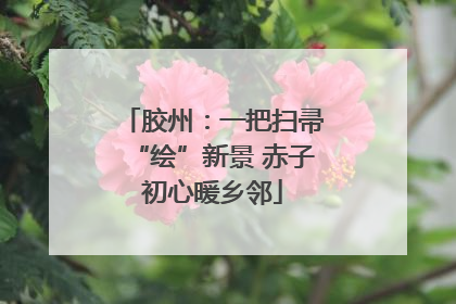 胶州：一把扫帚“绘”新景 赤子初心暖乡邻
