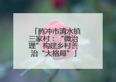 腾冲市清水镇三家村：“微治理”构建乡村善治“大格局”