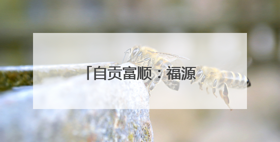 自贡富顺：福源灏特大桥通车 绕行半城成历史