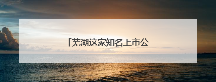 芜湖这家知名上市公司，中国行业第一！