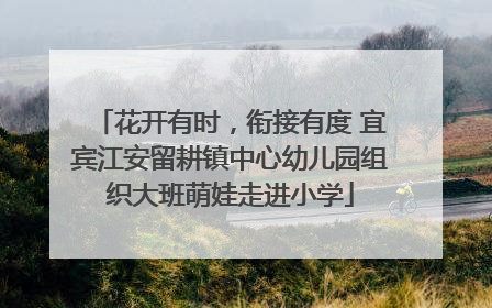 花开有时，衔接有度 宜宾江安留耕镇中心幼儿园组织大班萌娃走进小学