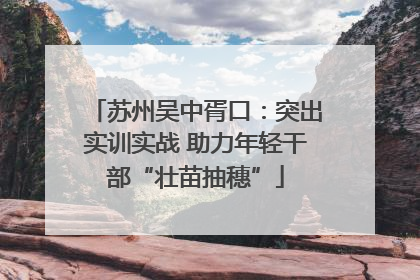 苏州吴中胥口：突出实训实战 助力年轻干部“壮苗抽穗”