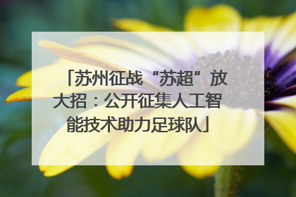 苏州征战“苏超”放大招：公开征集人工智能技术助力足球队