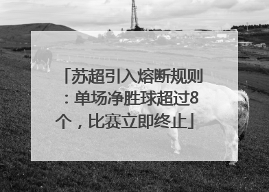 苏超引入熔断规则：单场净胜球超过8个，比赛立即终止