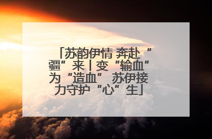 苏韵伊情 奔赴“疆”来丨变“输血”为“造血” 苏伊接力守护“心”生