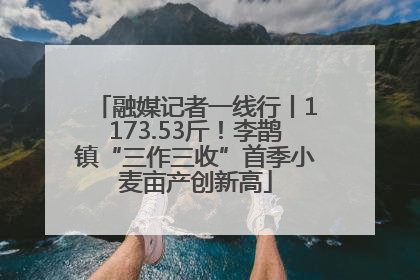 融媒记者一线行丨1173.53斤！李鹊镇“三作三收”首季小麦亩产创新高