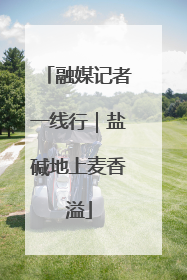 融媒记者一线行｜盐碱地上麦香溢