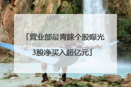 营业部最青睐个股曝光 3股净买入超亿元