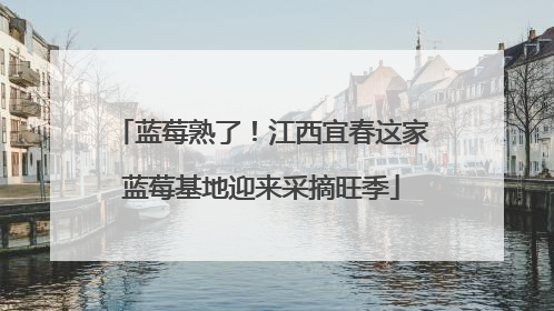 蓝莓熟了！江西宜春这家蓝莓基地迎来采摘旺季