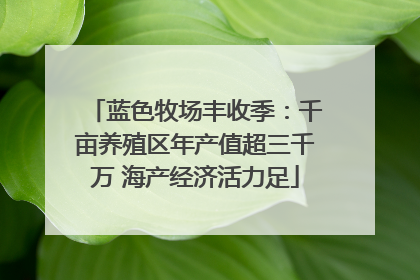 蓝色牧场丰收季：千亩养殖区年产值超三千万 海产经济活力足